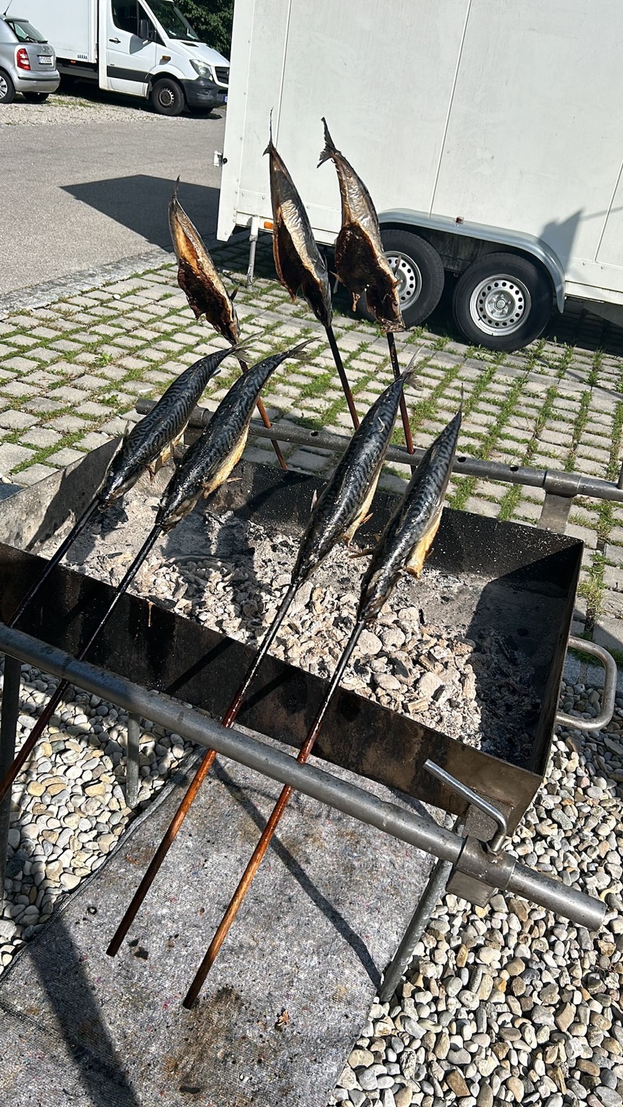 Frischer Steckerlfisch vom Holzkohlengrill